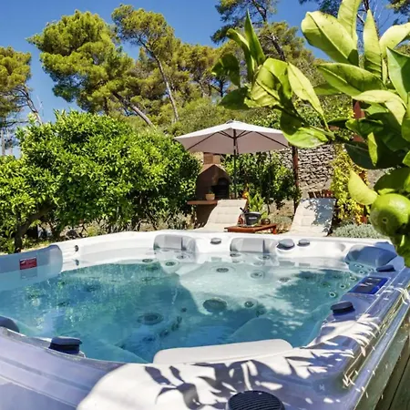 Novosel Location & View In Park Forest Holiday home Split
